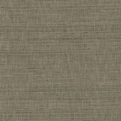 Kasmir WITH A VIEW      STEEL           